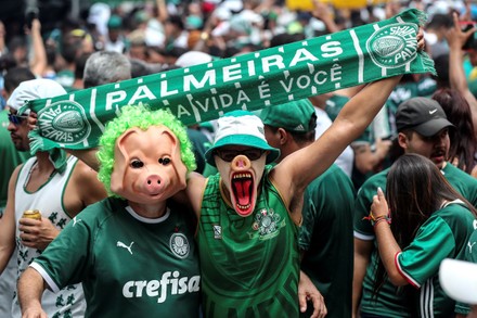 PORCO SUPORTER IDENTITAS palmeiras Mancha Verde