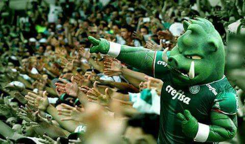 PORCO SUPORTER IDENTITAS Mancha Verde
