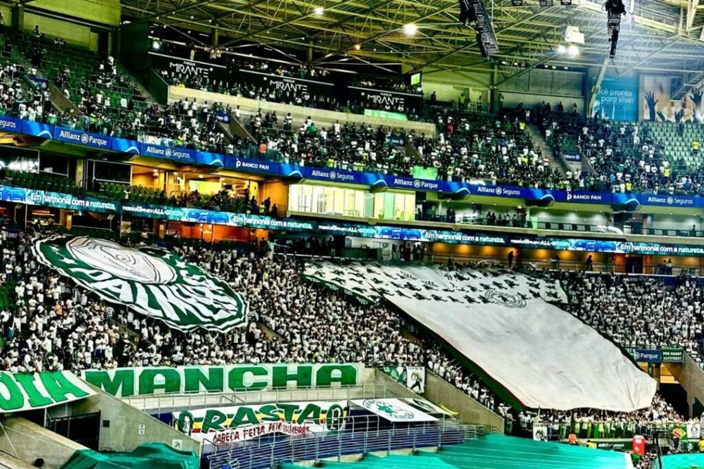 PORCO SUPORTER IDENTITAS Mancha Verde