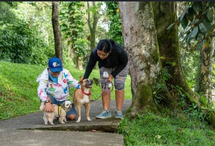 anabul anabul Golf-Bz ProLife